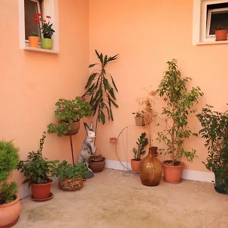 Ivan Dolac 8734e Apartmán *